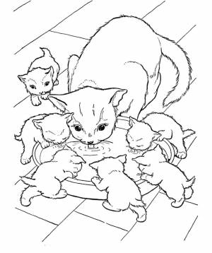 Раскраска рыжая кошка с котятами