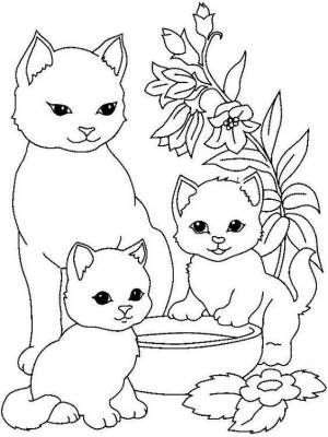 Раскраски милые котята