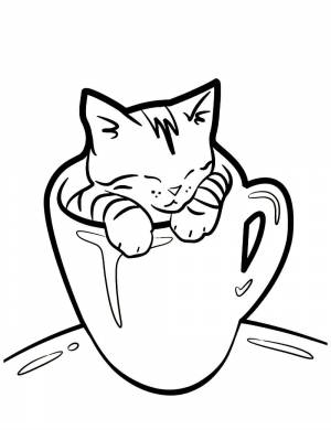 Котик в кружке раскраска