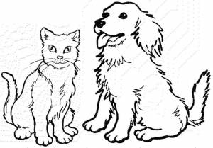Cat coloring page, Dog coloring book, Dog coloring page