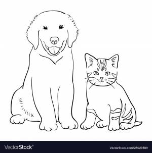 Кошка и собака раскраска