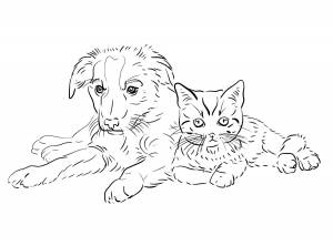 Раскраска собачка и кошка