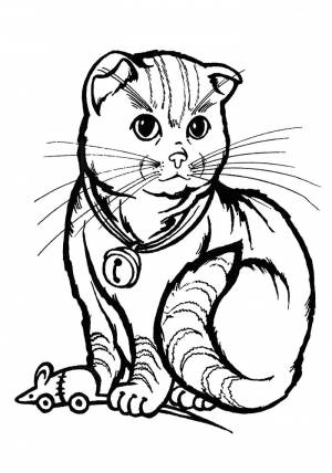 Раскраски кошки, Раскраска Рисунок кошки для Домашние животные