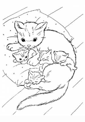 Раскраска кошка с котятами