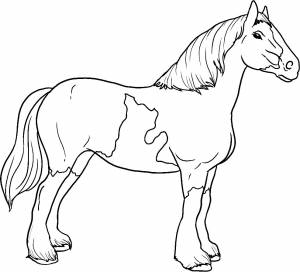 Лошади развивающие детские раскраски