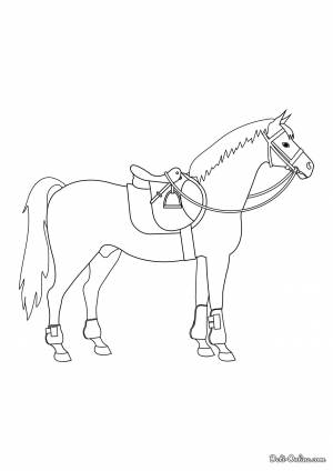 Раскраска Лошадь с седлом