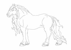 Раскраски Раскраска Лошадь лошади лошади