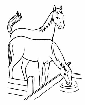 Раскраска лошадь для детей