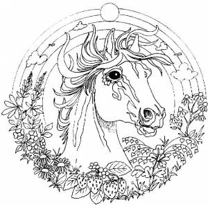 Лошадь лошадь Раскраски для медитации