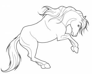 Раскраска Лошадь