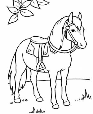 раскраски с животными раскраски с лошадьми