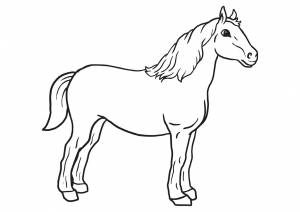 Раскраска Крепкий конь