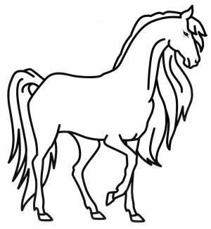 Раскраска Лошадь с красивой гривой