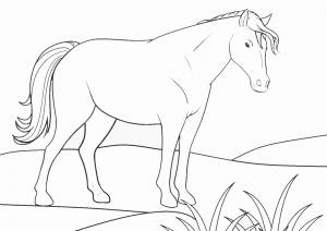 Раскраска Лошадь на пастбище