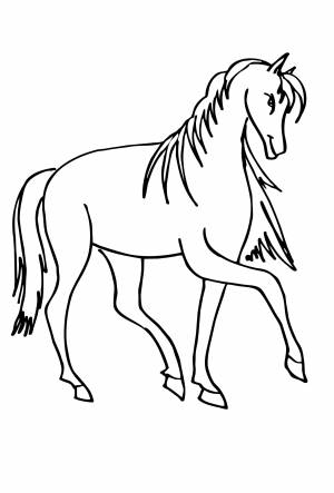 Раскрась лошадь лошадь раскраски для мальчиков животные Распечатать раскраски для мальчиков