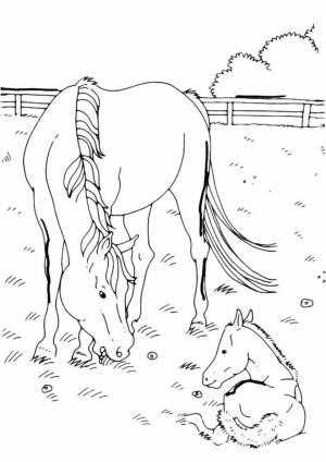 Раскраска Лошадь с ребенком