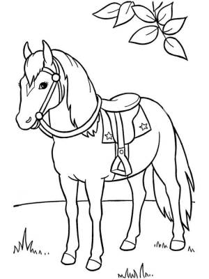 разукрашки с лошадьми для детей и взрослых раскраски антистресс с лошадьми