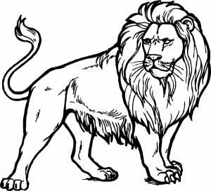 Раскраски Льва для детей