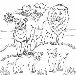 Раскраска Семья львов на прогулке