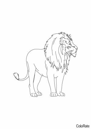 Раскраска Реалистичный лев
