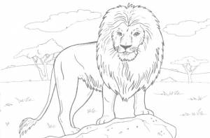 Раскраска Лев и про Львов для детей