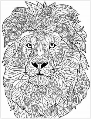 Раскраски Лев сложная