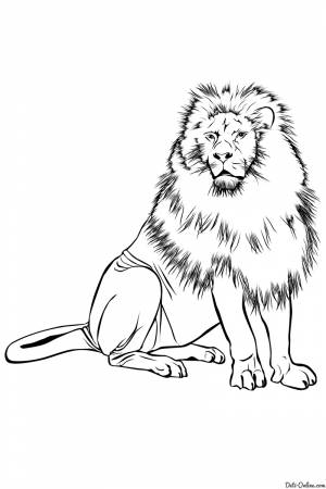 раскраски со львами бесплатные раскраски с животными онлайн