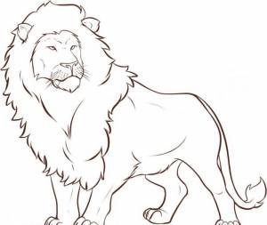 раскраски со львами бесплатные раскраски с животными онлайн