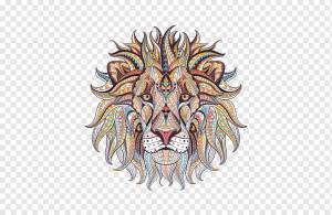 Книжка-раскраска для взрослых Lion App Store, лев, животные, взрослый, голова льва png