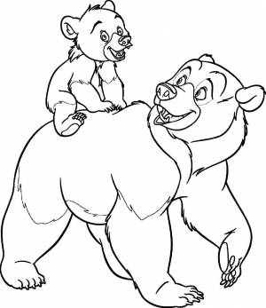 Раскраска «Медведь с медвежонком»