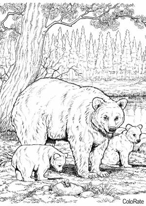 Раскраска С медвежатами