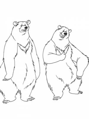 Раскраска Медведь   в формате