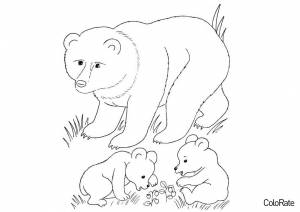 Раскраска Медведица с детенышами
