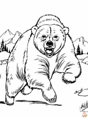 Исследуйте дикую природу с бесплатными раскрасками медведей для печати