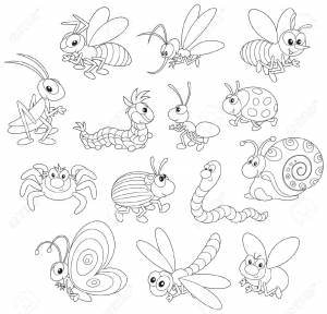Раскраски Раскраска Самые разные насекомые Насекомые Насекомые