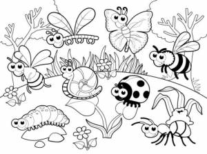 Раскраски Раскраска Все насекомые в сборе Насекомые Насекомые