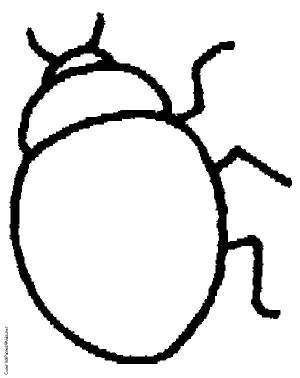 Раскраски Раскраска Жук Насекомые насекомые