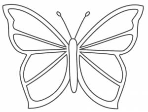 Раскраски бабочки, Раскраска контуры бабочки Насекомые