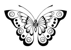 Раскраски бабочка, Раскраска красивая бабочка Насекомые