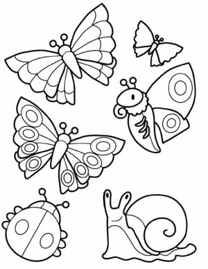 Раскраски бабочка, Раскраска с насекомыми и улиткой Улитка Бабочка мотылек Божья коровка Насекомые
