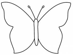 Раскраски Раскраска Бабочка с простыми крыльями бабочки