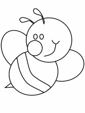 Раскраски насекомые, Раскраска Пчела Раскраска для малышей Насекомые