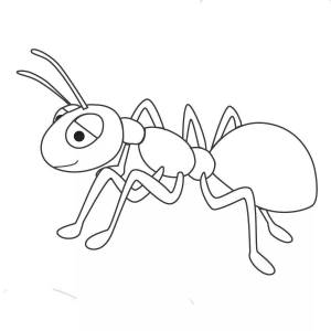 Раскраски Окружающий мир 1 класс насекомые