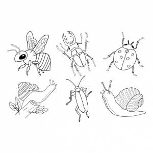 Набор насекомых для раскраски