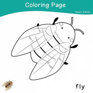 15 раскраски насекомые