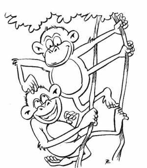 Раскраски Раскраска Обезьяны на дереве обезьяна