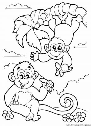 Раскраски Рисунок обезьяна для детей
