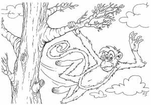 Раскраски Раскраска Обезьяна и два банана Дикие животные, Раскраска обезьяна на ветке дерева Дикие животные