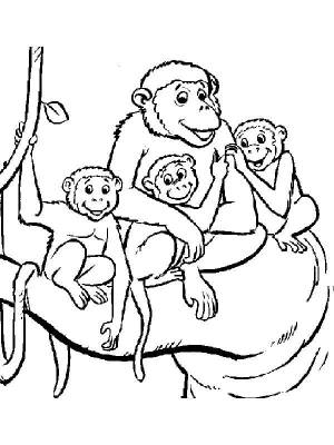 Раскраски обезьян, Раскраска семейство обезьян