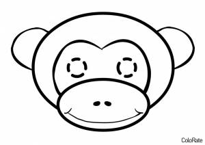 Раскраска Мордочка обезьяны